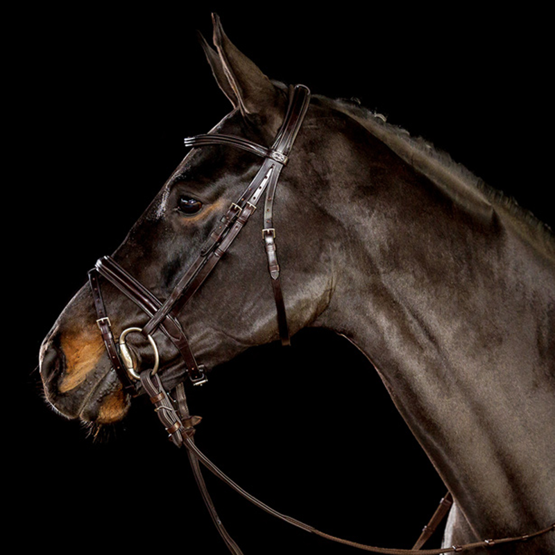 Schockemohle Oxford Bridle - Dark Brown/Silver-1